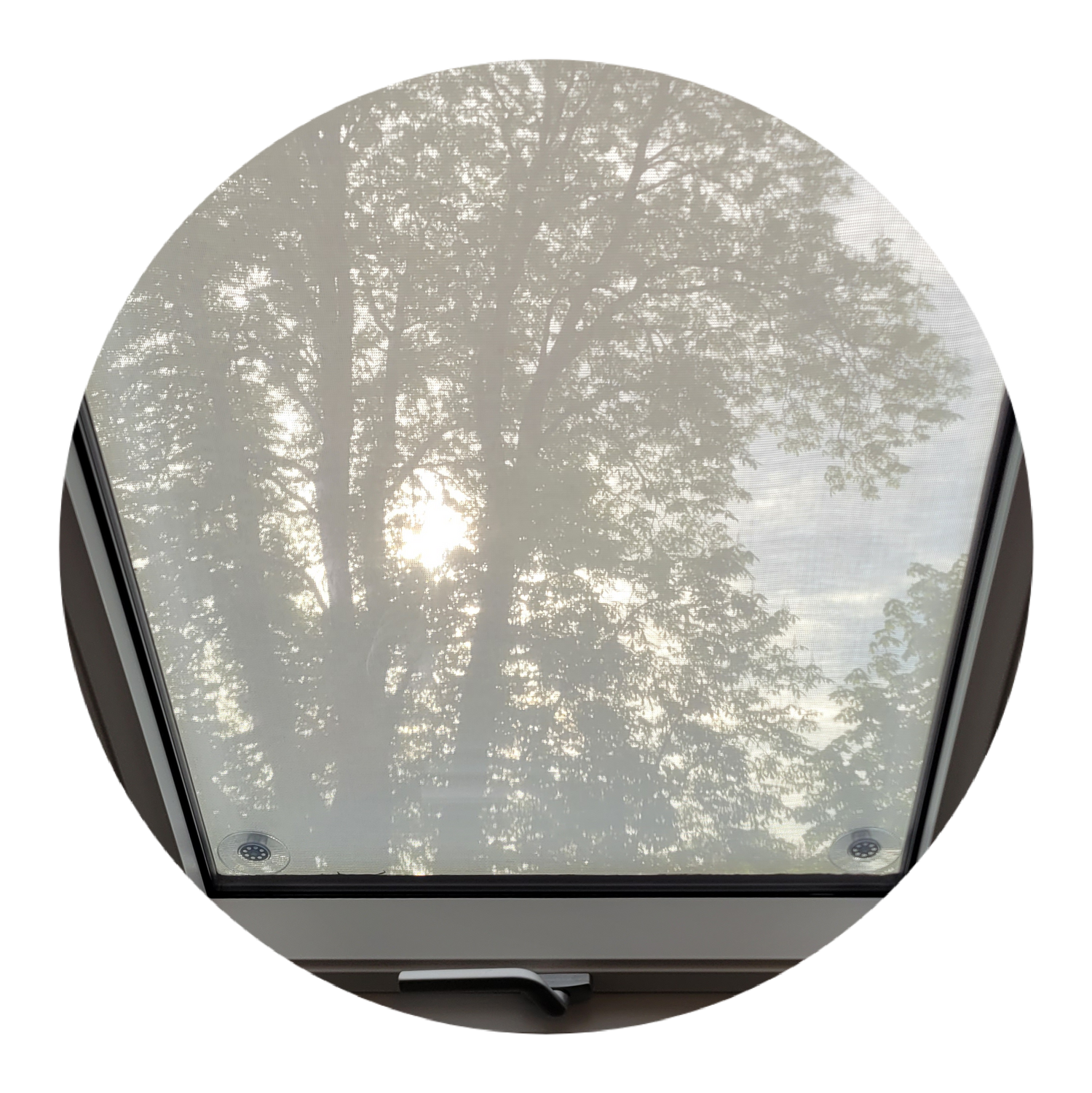 Dachfenster, Bild von innen mit Blick nach außen mit weißem Sonnenschutz (außen).