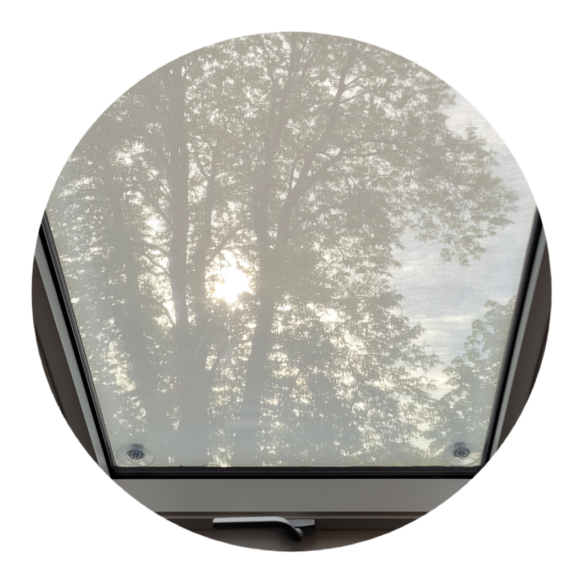 Dachfenster, innen, Blick in die Bäume, mit weißen Sonnenschutzstoff außen.